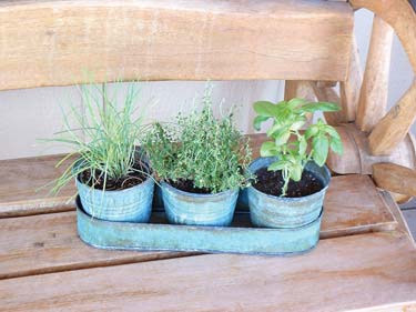 
Amaryllis or paperwhite narcissus bulbs, wrapped up with everything required for planting, make a great holiday gift for the winter weary.
